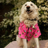 PawsIndia Bumble Bee Summer Shirt For Pets - Pink