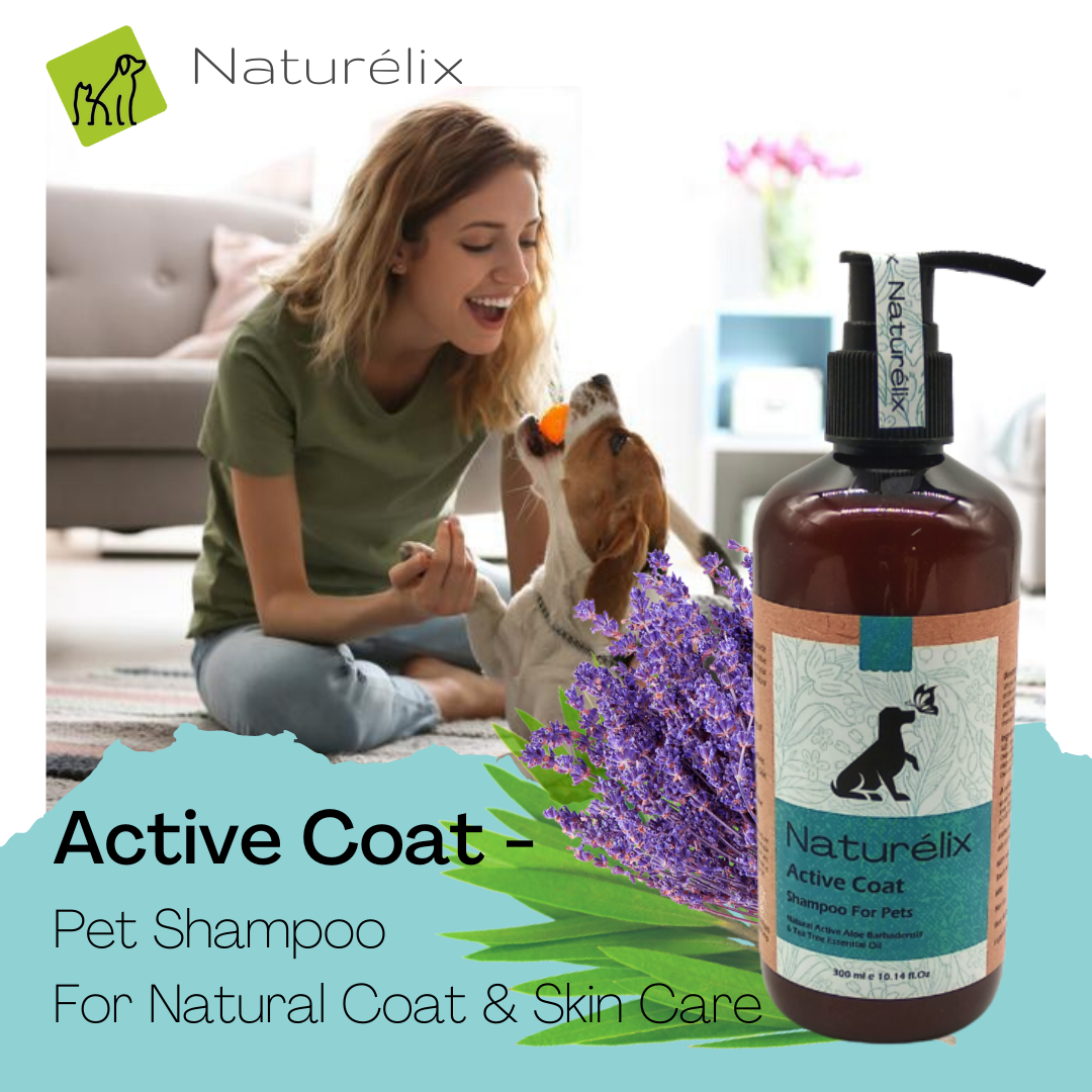 Naturelix ACTIVE COAT Dog Shampoo-Itchy Skin and Smooth Coat Dog Shampoo 300 ML