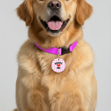 Customized Pet Id Tag - Adopt Me