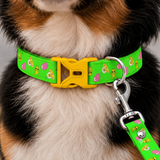 PawsIndia Aliens Calling Printed Collar & Leash Set for Dogs & Cats