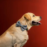 Pets Way Dog Bowtie - Forest Gingham