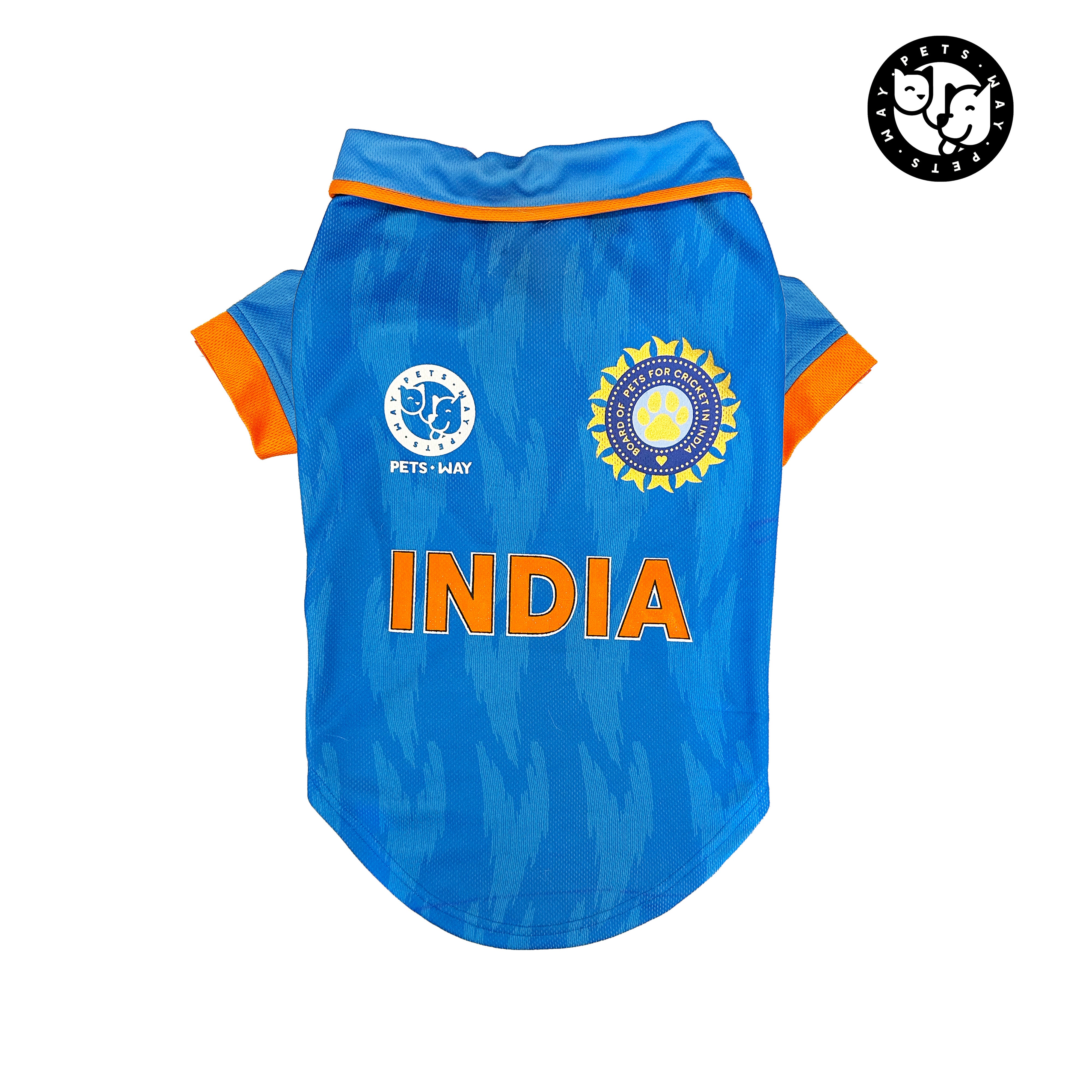 Top 10 Indian Cricket Team Jerseys Of All Time - In Pics | News | Zee News
