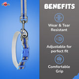 Pawsindia Reflective Nylon Collar & Leash set for Small Dogs - Blue