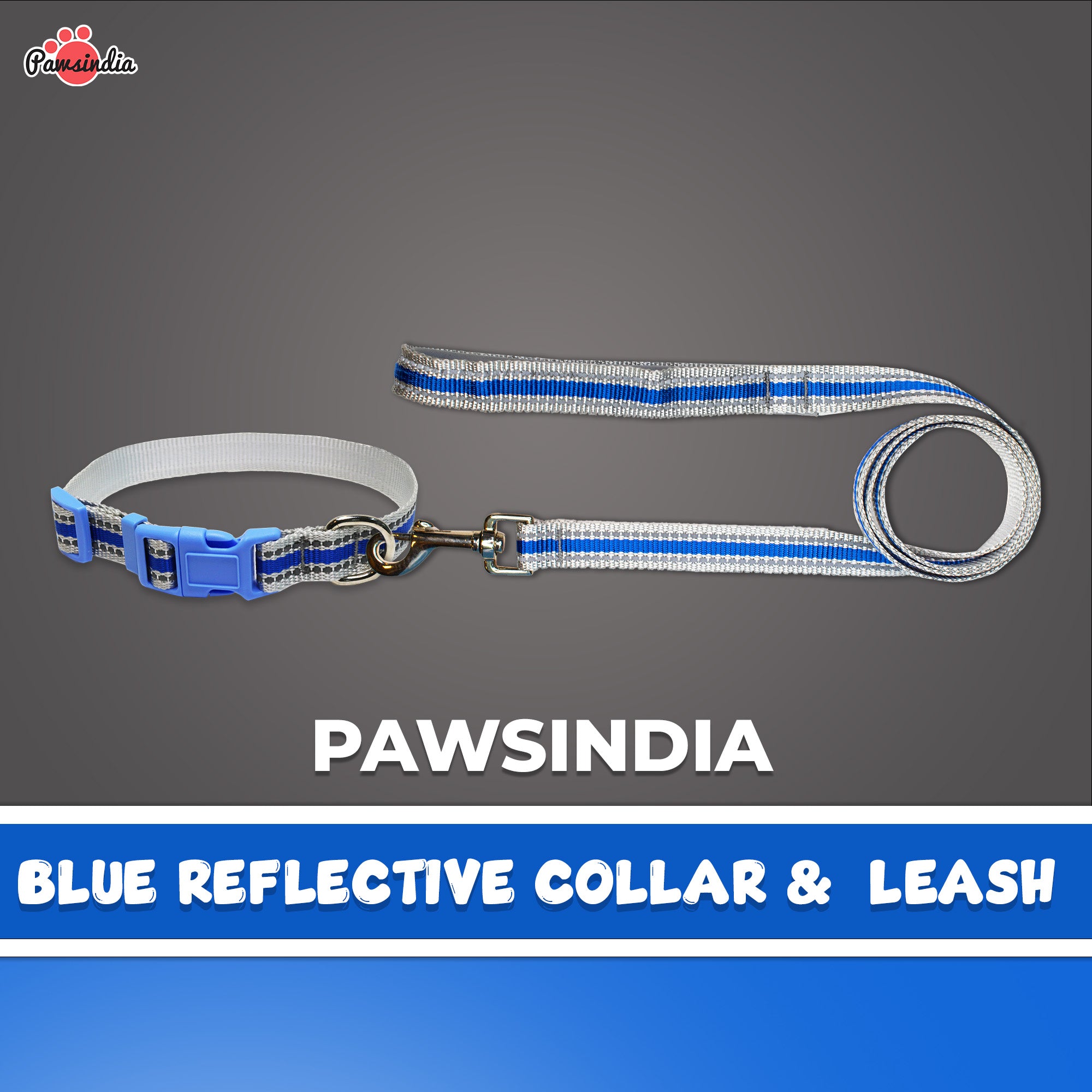 Pawsindia Reflective Nylon Collar & Leash set for Small Dogs - Blue