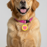 Customized Pet Id Tag - Bad Bitch Club