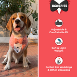 PawsIndia Valentines Edition Kisses with Hearts Printed Tuxedo For Pets