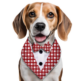 PawsIndia Berrys Pattern Tuxedo Bandana With Matching Bow For Dogs