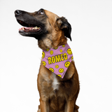 PawsIndia Customized Pet Bandana - Smiles Print