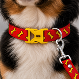 PawsIndia Bones Printed Collar for Dogs & Cats