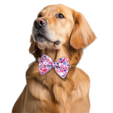 Pawsindia Birdsong Pattern Bow Tie