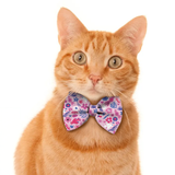 Pawsindia Birdsong Pattern Bow Tie