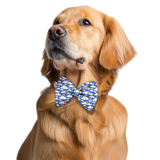 Pawsindia Sky Rainbows Pattern Bow Tie