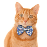 Pawsindia Sky Rainbows Pattern Bow Tie