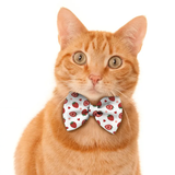 Pawsindia-Strawberry Print Pattern Bow Tie