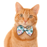 Pawsindia Garden Pattern Bow Tie