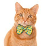 Pawsindia Orange Pattern Bow Tie