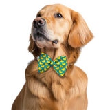 Pawsindia Duck Pattern Bow Tie