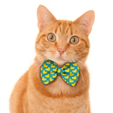 Pawsindia Duck Pattern Bow Tie