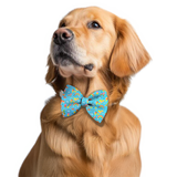 Pawsindia Rainbow Vibes Pattern Bow Tie