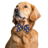 Pawsindia Mix Fruit Pattern Bow Tie