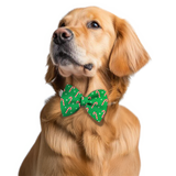 Pawsindia Christmas Candy Cane Pattern Bow Tie