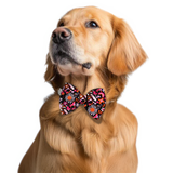 Pawsindia Pop Funk Pattern Bow Tie