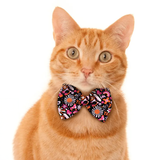 Pawsindia Pop Funk Pattern Bow Tie