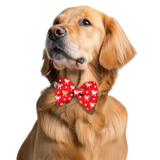 Pawsindia Christmas Holly Berry Pattern Bow Tie