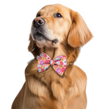 Pawsindia Spring Blooms Pattern Bow Tie