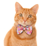 Pawsindia Spring Blooms Pattern Bow Tie