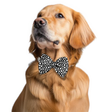 Pawsindia Starry Night Pattern Bow Tie