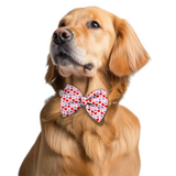 Pawsindia Happy Hearts Pattern Bow Tie