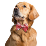 Pawsindia Berry Pattern Bow Tie