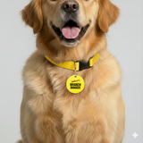 Customized Pet Id Tag - Branch Manager