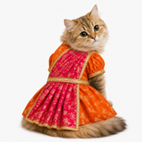 PawsIndia Traditional Heavy Brocade Zari Saree for Cats – Orange & Pink
