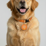 Customized Pet Id Tag - Cheese Tax Collector