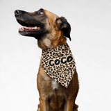 PawsIndia Customized Pet Bandana - Cheetah Print