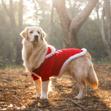 PawsIndia Christmas Dog &Cat Hoodie - Holly Jolly Babe 🎄