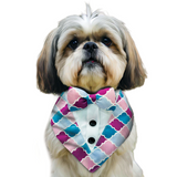 PawsIndia Colorful Pattern Tuxedo Bandana With Matching Bow For Pets