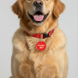 Customized Pet Id Tag - Cuddly AF
