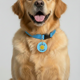 Customized Pet Id Tag - Cute'n Clingy - Blue