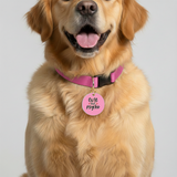 Customized Pet Id Tag - Cute But Psycho