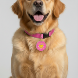Customized Pet Id Tag - Cuter Than Your Kid - Pink