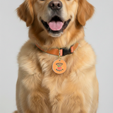 Customized Pet Id Tag - Cutie With Booty