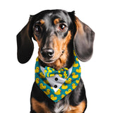 PawsIndia Duck Pattern Tuxedo Bandana With Matching Bow For Pets