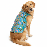 Pawsindia Traditional Nawabi Sky Blue Embroidered Kurta for Dogs | Ethnic Festive Wear