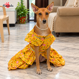 PawsIndia Traditional Marigold Yellow Princess Dress for Dogs – Limited Edition