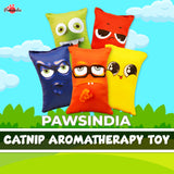 Pawsindia Catnip Cat Toy - Emotion Fusion - Pack of 5