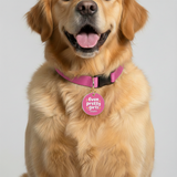 Customized Pet Id Tag - Even Pretty Girls Fart