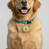 Customized Pet Id Tag - Fetch These